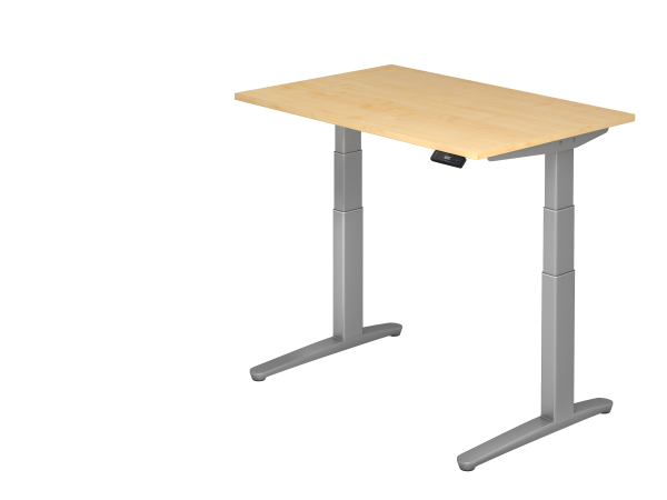 Sitz-Steh-Schreibtisch elektrisch 120 x 80 cm