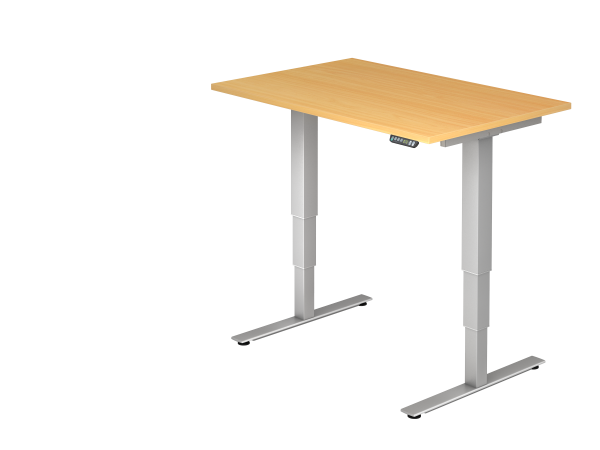 Sitz-Steh-Schreibtisch elektrisch höhenverstellbar 120 x 80 cm