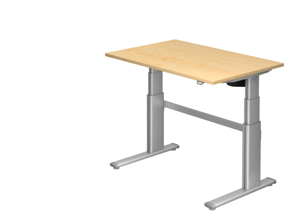 Sitz-Steh-Schreibtisch elektrisch höhenverstellbar 120 x 80 cm